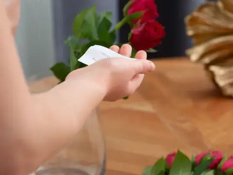 Plikos Mergos